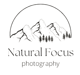 footer-logo